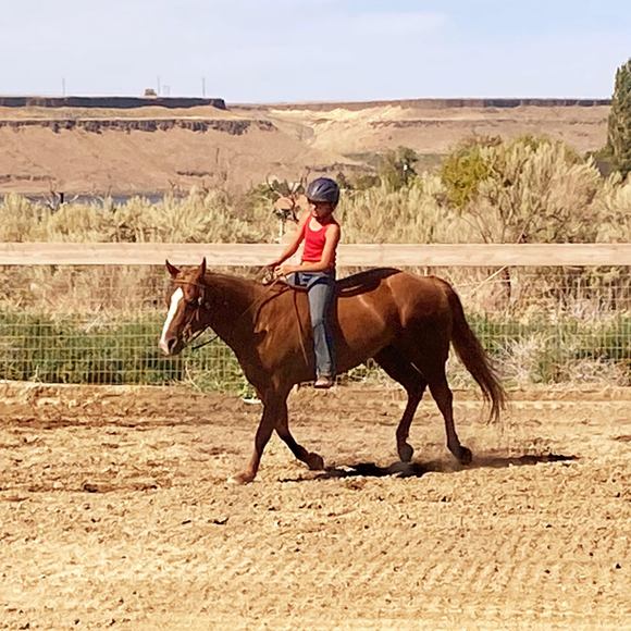 Meet your Posher, Addison - Picture 1 of 1